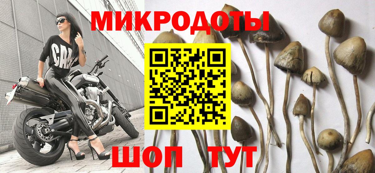 где найти наркотики  Псилоцибиновые грибы Psilocybine cubensis  Вход с VPN  Новодвинск  Галлюциногенные грибы мухоморы 